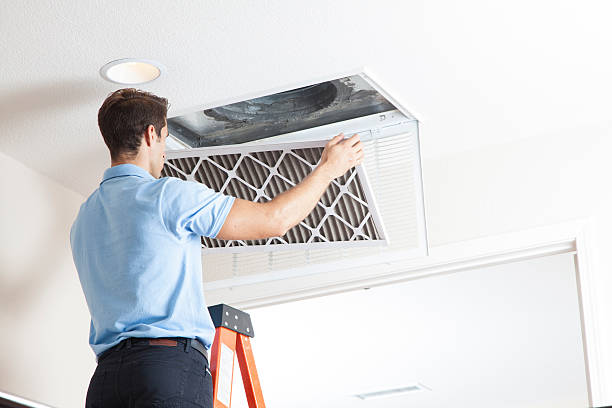 Best HVAC air duct cleaning  in Sylvester, GA